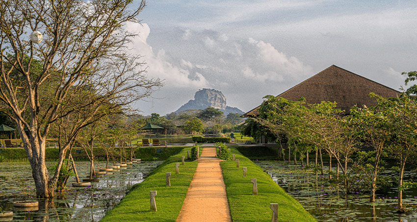 7 Day Luxury Sri Lanka Itinerary