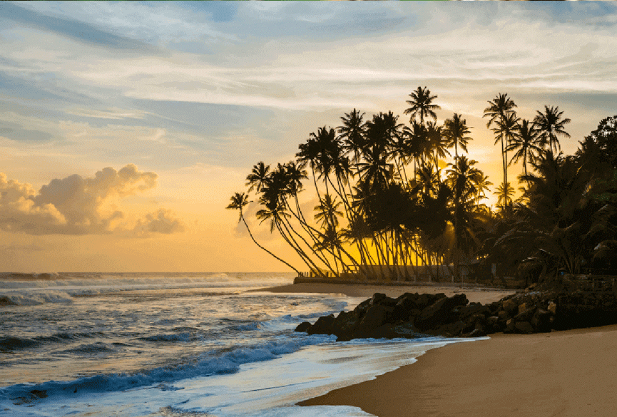 Best Time to Visit Sri Lanka