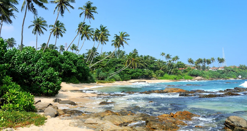 How to Pack for Sri Lanka: From Tropical Beaches to Misty Mountains