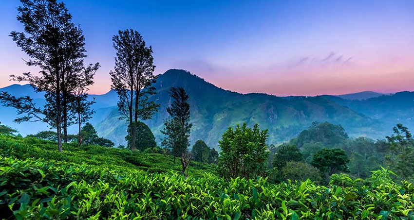 Hidden Gems in Sri Lanka