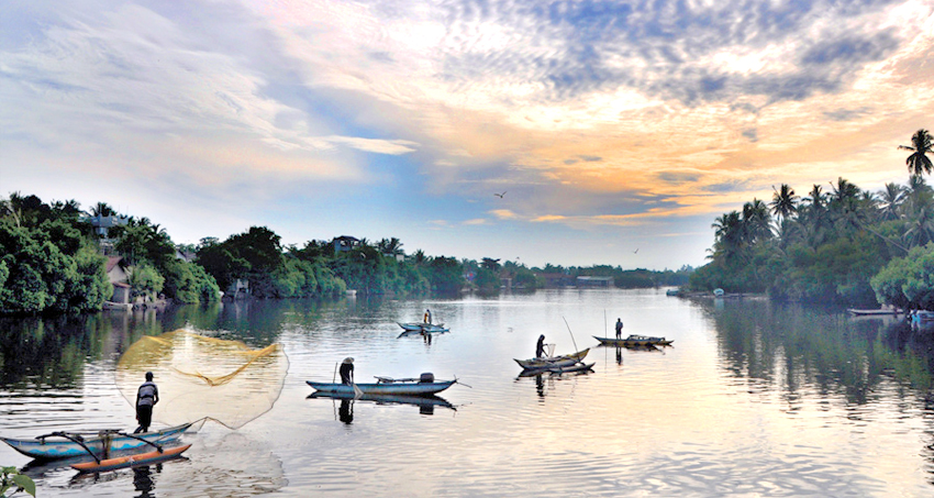 The Ultimate Negombo Lagoon Guide: Beyond the Fish Market